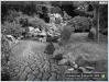 emwave_garden_game