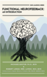 Functional Neurofeedback: An Introduction front cover